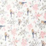 Algodón dulces pajaritos